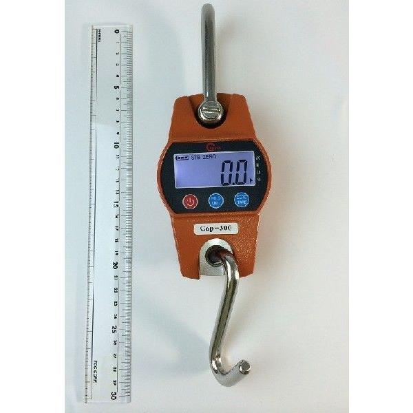 yΉzWCPN[XP[ 300kg@RpNgfW^݂͂ dr@@