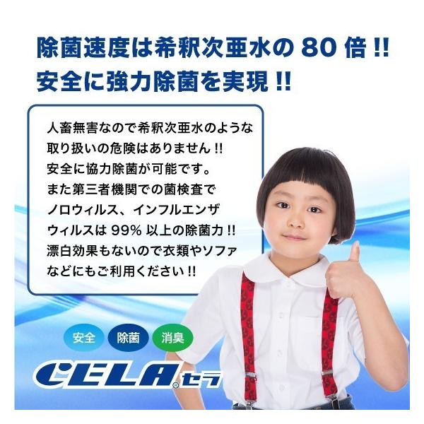sanri_cela-5l-1cs-1_3