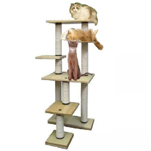 Ki cC^[@BB-DX mu^Cvn