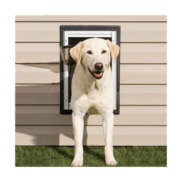 ǖʎtp hbOhA Large@[25.4cm×38cm] uEnXL[@