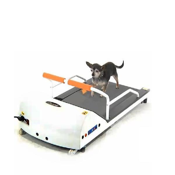 犬の運動器 ペットランPR700【小型犬用ルームランナー】犬用ランニングマシーン ペットラン PR-700 ［小型犬用運動器］ 全長1m10cm : サンセイ