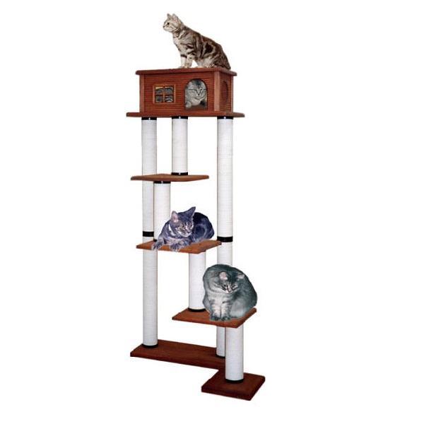 Ki cC^[@LA|DX@mu^Cvn