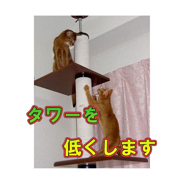 ^[ŜႭ܂@iႢVɓK܂j