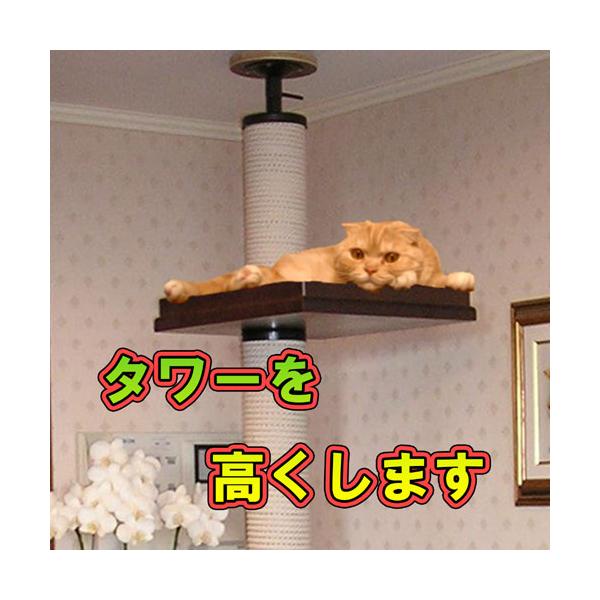 260܂ł̓VœKTCYɂ܂