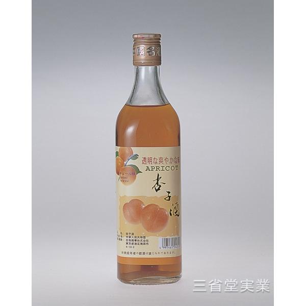 送料無料（本州限定）・代引不可 杏子酒　14度　600ｍｌ×12本