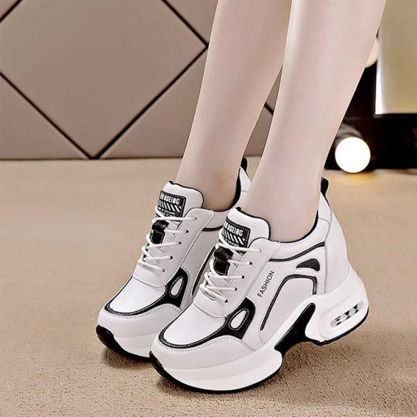 Xj[J[ fB[X C nCJbg JWAV[Y r 