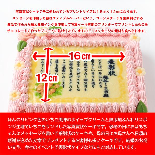 賞状ケーキ7号 センチ 送料無料 表彰状ケーキ メッセージケーキ 感謝状ケーキ 還暦 敬老の日 誕生日 バースデー 記念日 お祝い 内祝い サプライズ Buyee Buyee 提供一站式最全面最專業現地yahoo Japan拍賣代bid代拍代購服務 Bot Online