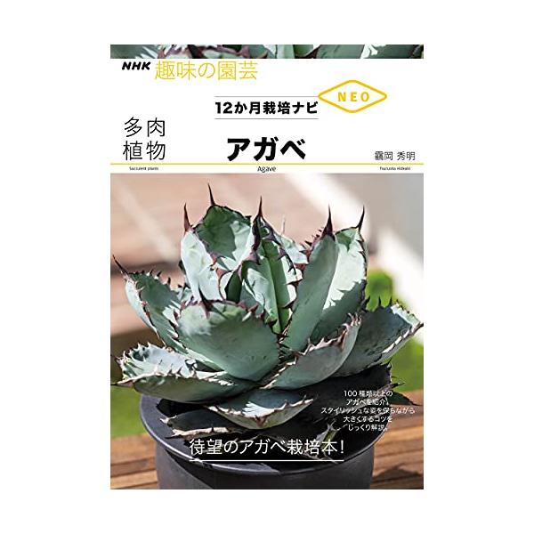 人気上昇中の多肉植物・アガベの品種や育て方を徹底解説  テキーラの原料としてや、アガベシロップなどで知られる「アガベ」。 実は、数多くの多肉植物のなかでも、近年“かっこいい植物”として注目が集まっている。 育てやすいが油断は禁物で、水をやり...