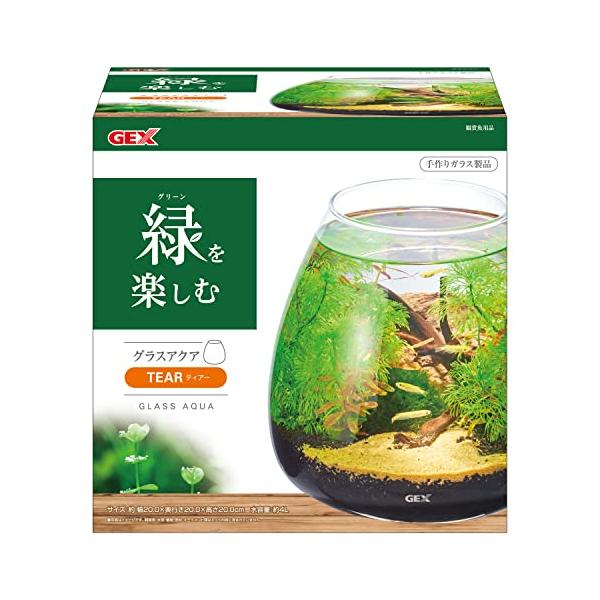 ジェックス GEX AQUARIUM グラスアクア ティアー-N アクアリウム 小型水槽 水草 テラリウム