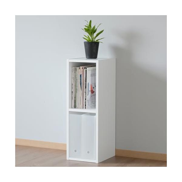 山善(YAMAZEN) 棚 本棚 カラーボックス A4ファイル対応 2段 スリム 幅