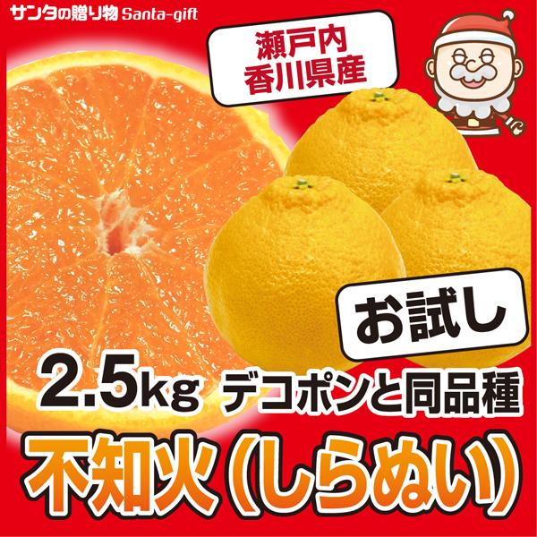 デコポン 不知火 みかん S-Lサイズの混合 同品種 お試し 2.5kg デコポン 不知火 みかん S-Lサイズの混合 同品種 お試し 2.5kg
