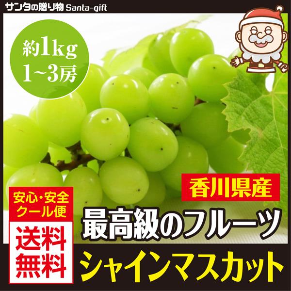 シャインマスカット ぶどう 約1kg 1〜3房 香川県 瀬戸内産 送料無料 :shain01:サンタの贈り物 - 通販 - Yahoo!ショッピング シャインマスカット ぶどう 約1kg 1〜3房 香川県 瀬戸内産 送料無料 :shain01:サンタの贈り物 - 通販 - Yahoo!ショッピング