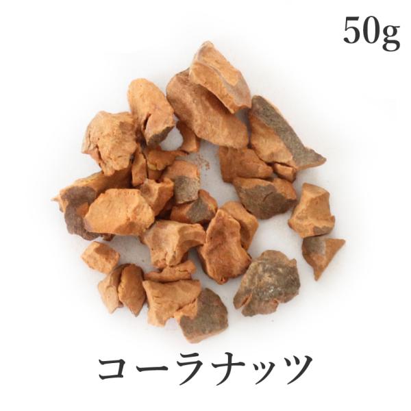 コーラナッツ 50g 無添加 クラフトコーラ スパイス 農薬不使用