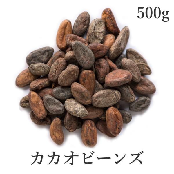 カカオ豆 500g ロースト 農薬不使用 カカオビーンズ 発酵カカオ豆 ハスク付 無添加 非アルカリ処理 フラバノール 大容量 サンタローサ