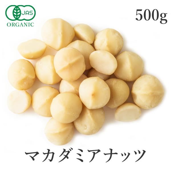 マカダミアナッツ 生 500g 有機JAS オーガニック 農薬不使用 無添加 無塩 ノンオイル 低温加工 大容量 非遺伝子組み換え サンタローサ