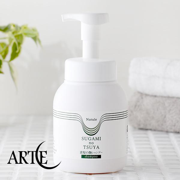 アルテ 素髪の艶シャンプー 500ml ノンシリコンシャンプー 植物成分 オーガニックヘアケア サンテラボ 通販 Paypayモール