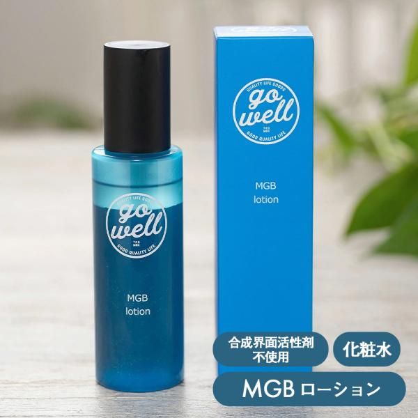 ゴーウェル MGBローション 115ml マグネシウム : サンテラボ(年中無休