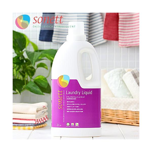 \lbg  i`EHbVLbh 2bg pt̐ SONETT 2L  񂽂 t̐ pi