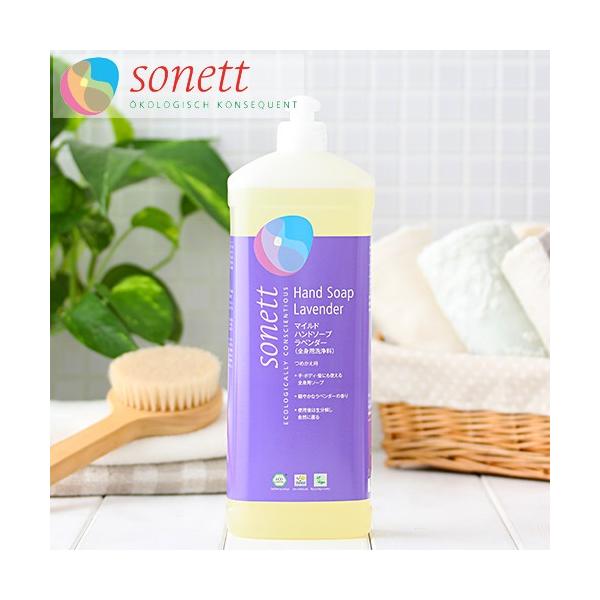 \lbg Sgp }Chnh\[v x_[ 1bg SONETT I[KjbN GR {fBPA Vv[ nh\[v