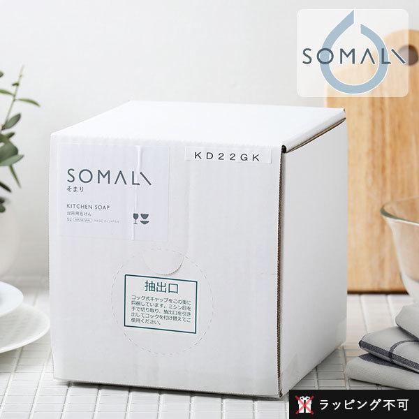 䏊p΂ 5000ml l֗p q Hp 䏊 䏊p  i` IW h ܂ ؑΌ bsOs