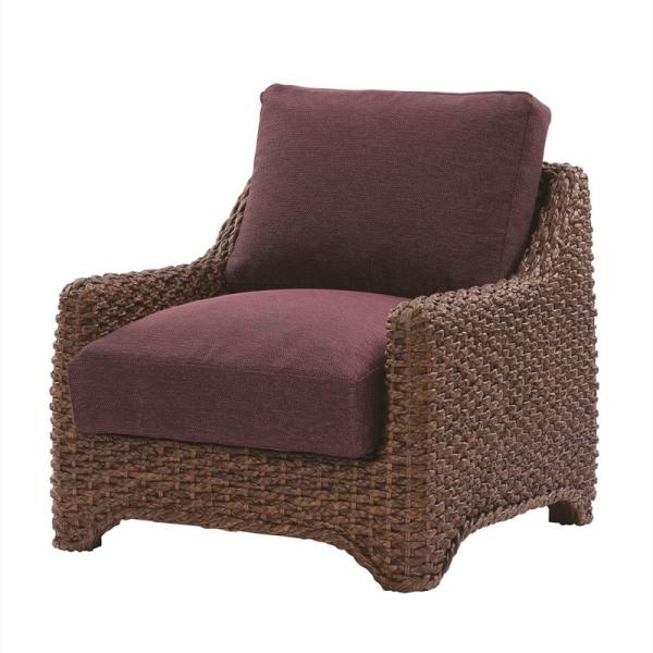 AWAƋ CBiiANrBj EH[^[qVX 1l| \t@ 72cm ACD771DK