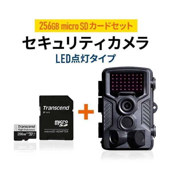 防犯カメラ 屋外 家庭用 小型 電池式 高画質 4K トレイルカメラ 256GB microSDXCカード付き TS256GUSD350V