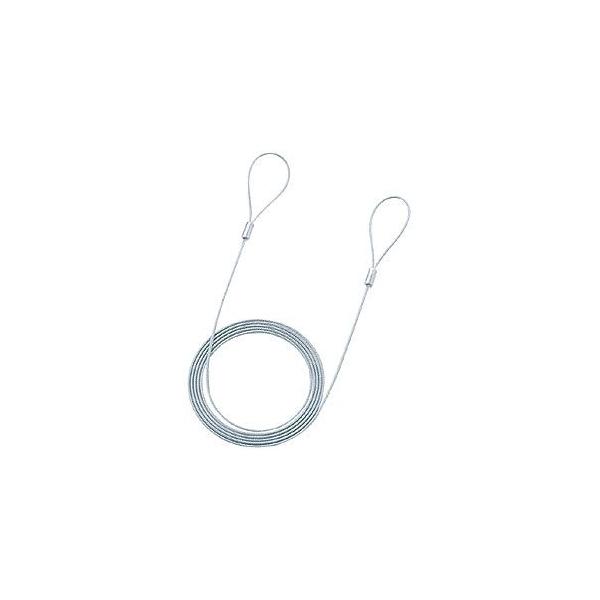 パソコン盗難防止 eセキュリティ ワイヤー ロック（太さ：2.2mm）（長さ：2m）（SLE-11W-2）