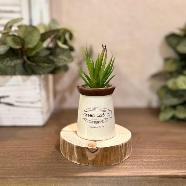 インテリアのアクセントに最適なフェイクグリーン。水やりや日光の心配もなく、お手入れも簡単です。リビングや玄関、オフィスのデスクなど、どんな場所にも飾れておすすめです。【サイズ】W5.5×D5.5×H14cm【重さ】113g