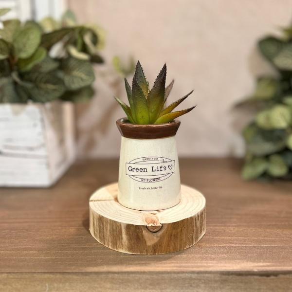 インテリアのアクセントに最適なフェイクグリーン。水やりや日光の心配もなく、お手入れも簡単です。リビングや玄関、オフィスのデスクなど、どんな場所にも飾れておすすめです。【サイズ】W5.5×D5.5×H12cm【重さ】119g