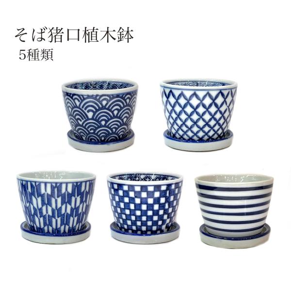 青と白の波模様 お猪口6cm5.5cm 青と白の波模様 お猪口6cm5.5cm 青と白の波模様