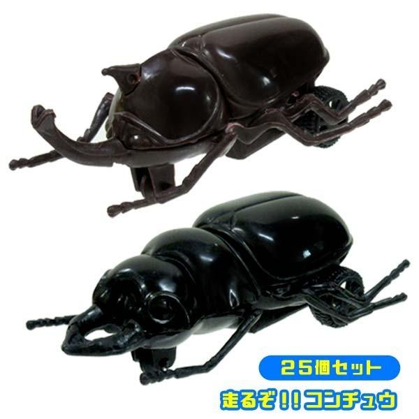 01113 カタゾウムシ 12頭セットC 71gvOo3YqtL._UF894