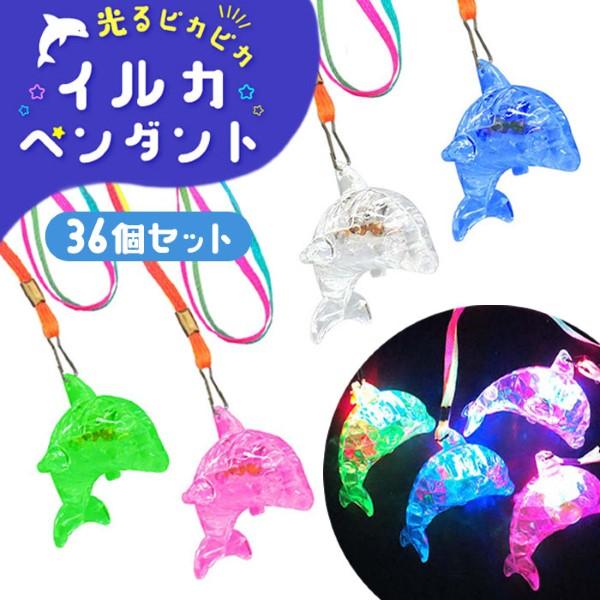 NO57.大人の為のイルカᒼᑋªⁿ❤︎*キャンドル❤ わくわく おたる水族館＞イルカのレンカ1歳 運動能力 「大人