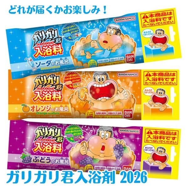 ガリガリ君 　さま　20260607105 BANDAI（バンダイ） ガリガリ君 入浴料 2026 ゆうパケット可 夏祭り