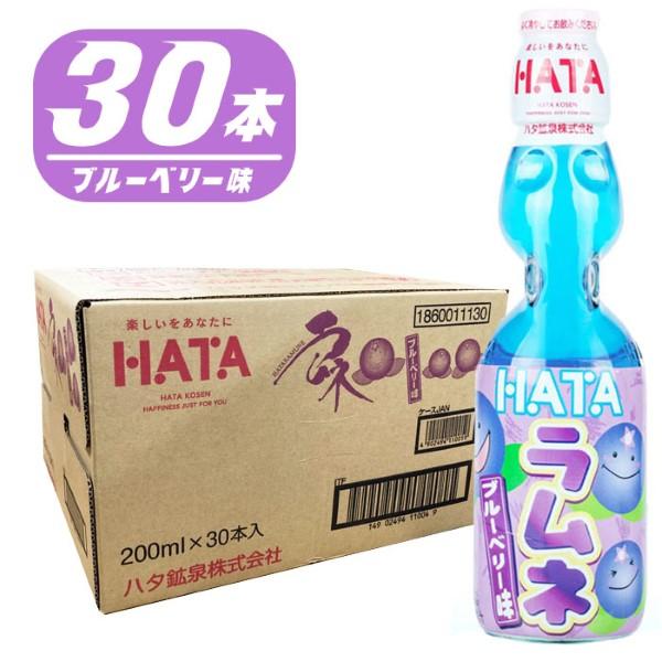 ハタ鉱泉 瓶ラムネ 200ml瓶×30本入 炭酸飲料 ブルーベリー味 夏祭り 