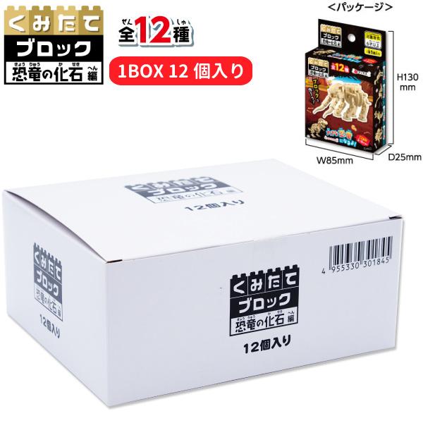 くみたてブロック 恐竜の化石編 ボックスセット (12個入り) 夏祭り