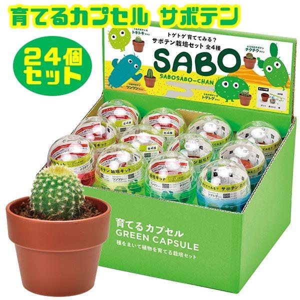 種 栽培キット サボテンの人気商品 通販 価格比較 価格 Com