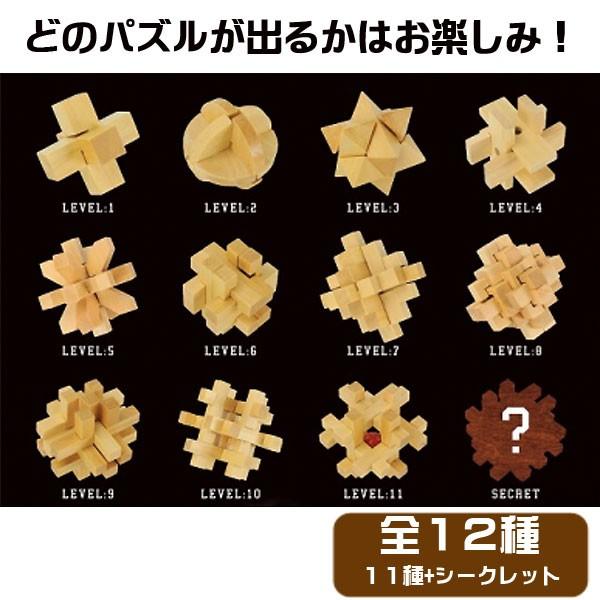 Woody 4d Puzzle Part 4 木製立体パズル パート4 12個セット Buyee Buyee Japanese Proxy Service Buy From Japan Bot Online