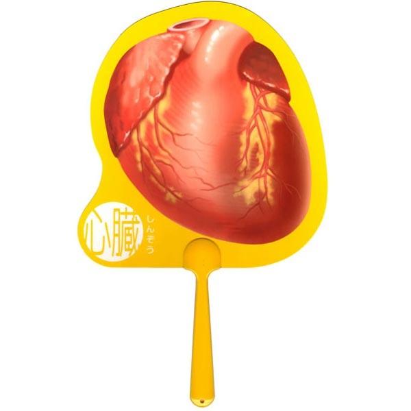 メール便可 人体うちわ 心臓 4112 おもちゃの三洋堂 通販 Yahoo ショッピング