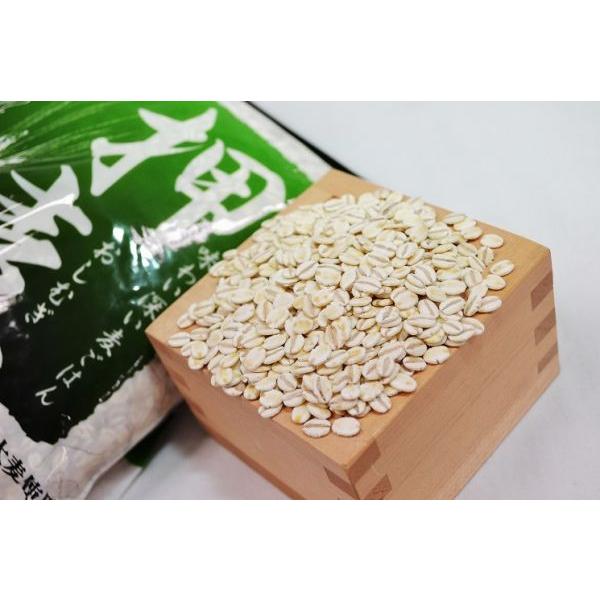 麦ごはんお買い得１０個セット【国内（岡山県）産大麦使用】　押麦1kg×4 米粒麦1kg×3 ビタバァレー1kg×3