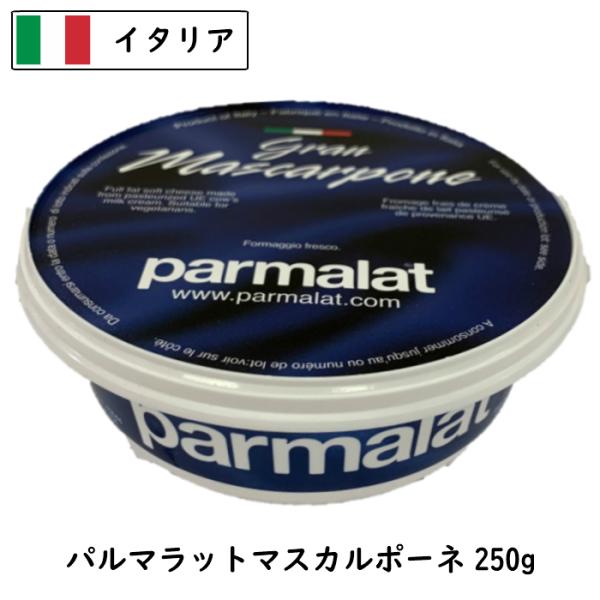 商品説明名称 パルマラットマスカルポーネ種類別 ナチュラルチーズ原材料名 クリーム／クエン酸内容量 250g賞味期限 2026//01/15保存方法 要冷蔵（４℃以下）原産国名 イタリア輸入者 株式会社　三祐東京都大田区東糀谷4-1-15備...