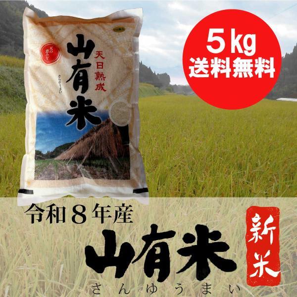 お米 鹿児島県 山有米 白米 5kg Yahoo!店・ＹＭ農法・ＹＭ菌発酵完熟肥料かんとりースーパーと曽於市財部町の自然の恵みで育てたお米
