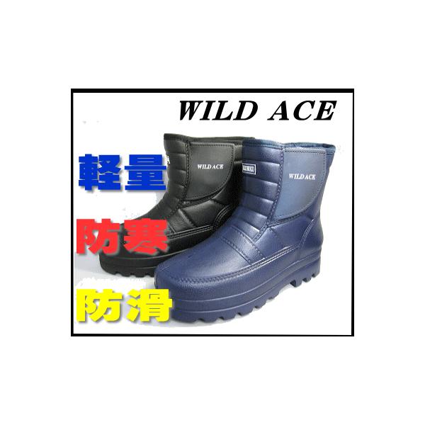 łSIY Cu[c h h y ʂ 2503 j ፑ ӂӂ {A C nΉ IV Cu[c ubN lCr[ 