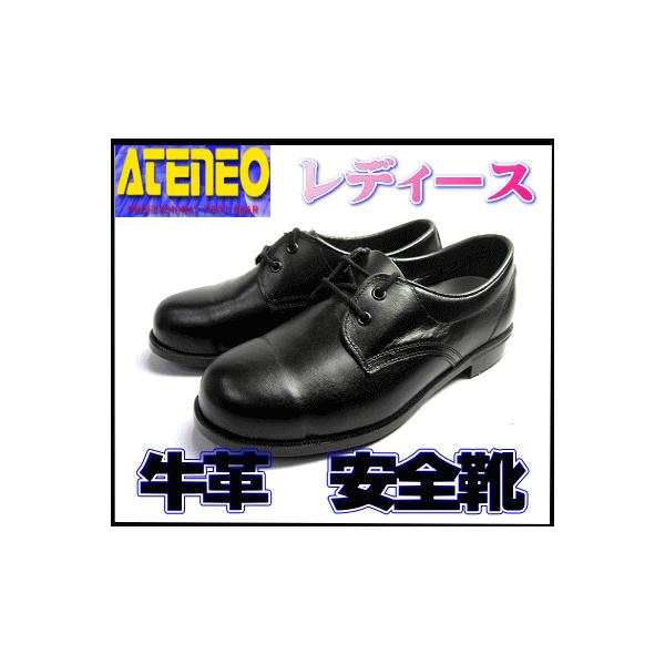 yzSC  ZC  { wl ƌC 43 JIS  fB[X   ubN 22.5 `25