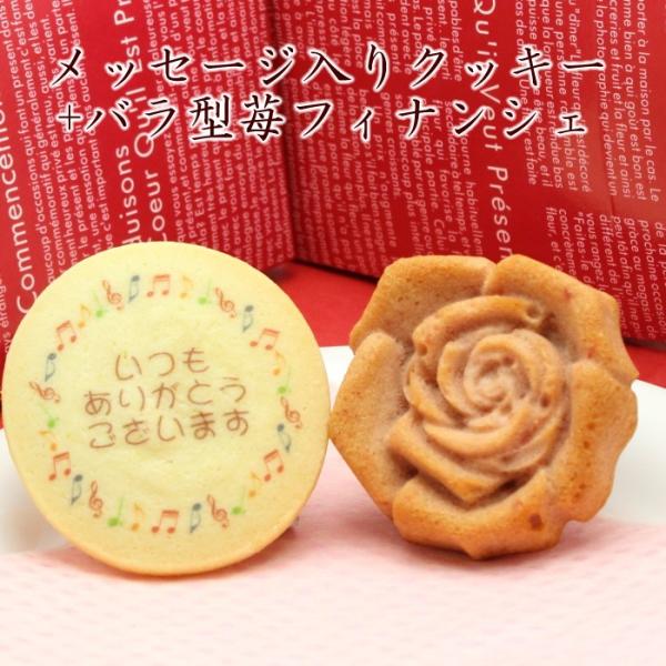 NbL[o^tBiVFZbg  TNX Mtg mxeB XC[c