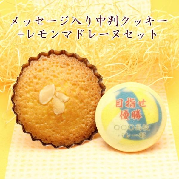  NbL[ }h[k  bZ[W XC[c  XC[c 싅 TbJ[ oXPbg o[  c LOi