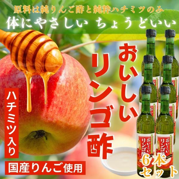 6本セット おいしいりんご酢 500ml×6本 酢 おいしい酢 りんご