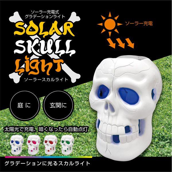 \[[Cg LED [d Of[V XJCgx6//