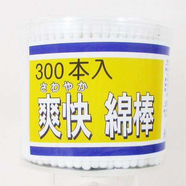 Ȗ_ ₩u F 300{肘36//