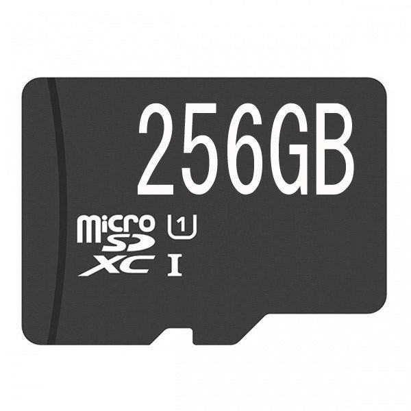 }CNSDJ[h microSDXCJ[h 256GB 256MK NX10 