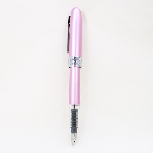 v`iNM vW[ NM { PGB-1000 #21 sN yF P{